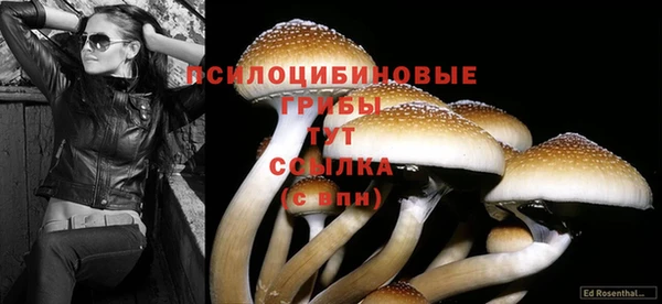 гашик Балахна
