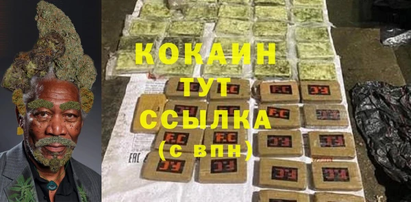 молекула духа Сосновый Бор