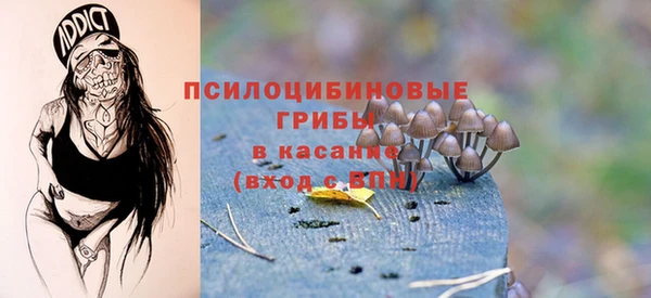 гашик Балахна