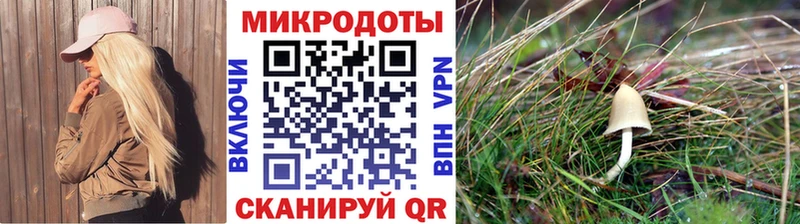 Галлюциногенные грибы прущие грибы  что такое   Конаково 
